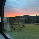 Z Widokiem Na Sowe *