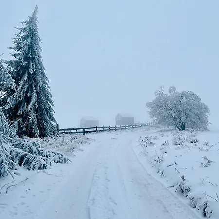 Дом отдыха Z Widokiem Na Sowe *