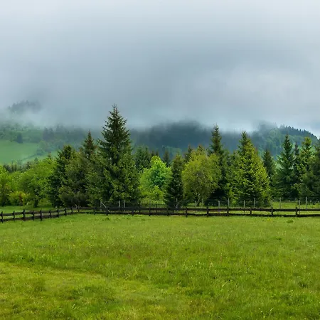 Z Widokiem Na Sowe Дом отдыха *