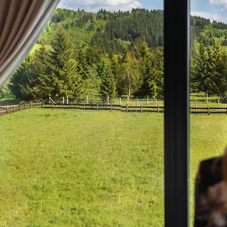 Z Widokiem Na Sowe Дом отдыха *