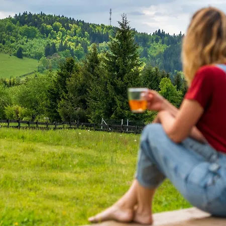 Дом отдыха Z Widokiem Na Sowe