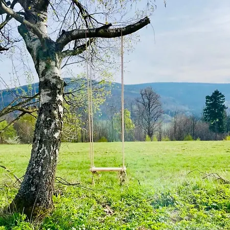 Z Widokiem Na Sowe