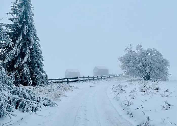Ferienhaus Z Widokiem Na Sowe *