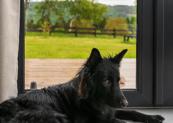 Z Widokiem Na Sowe Ferienhaus Sierpnica