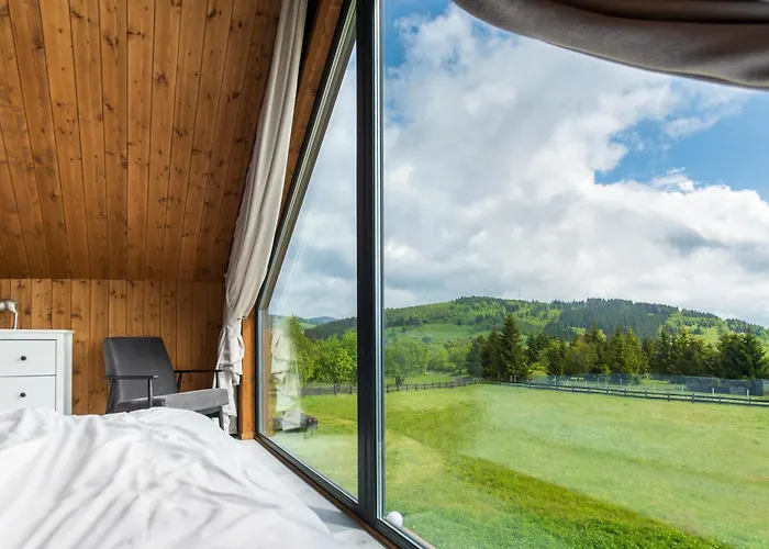 Z Widokiem Na Sowe *